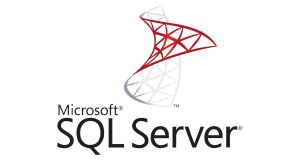 sql server web application