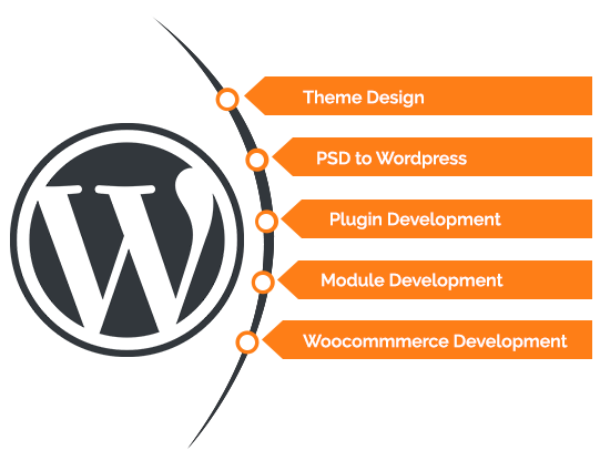 Wordpress Customization